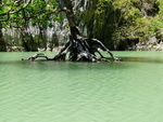 Golf von Phang Nag Seakayak  Lagune innerhalb einer Insel mit Baum (TH).